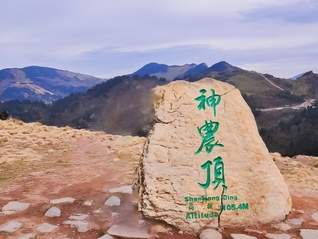 ⭐卖
照片墙token号
买号平台推荐哪个